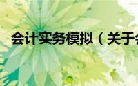会计实务模拟（关于会计实务模拟的简介）
