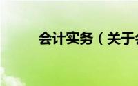 会计实务（关于会计实务的简介）