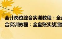 会计岗位综合实训教程：全盘账实战演练（关于会计岗位综合实训教程：全盘账实战演练的简介）