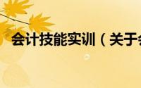 会计技能实训（关于会计技能实训的简介）