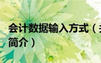 会计数据输入方式（关于会计数据输入方式的简介）