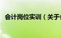 会计岗位实训（关于会计岗位实训的简介）