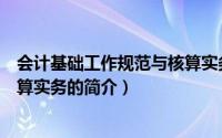 会计基础工作规范与核算实务（关于会计基础工作规范与核算实务的简介）