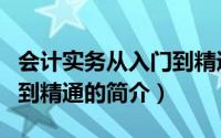 会计实务从入门到精通（关于会计实务从入门到精通的简介）