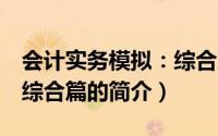 会计实务模拟：综合篇（关于会计实务模拟：综合篇的简介）