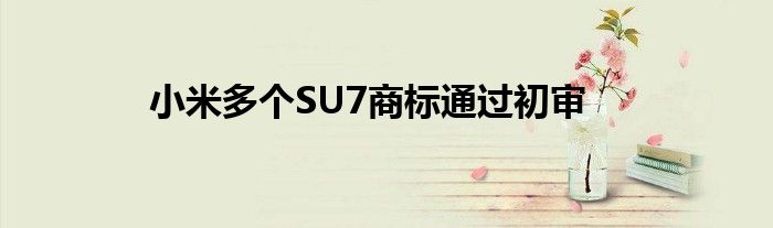 小米多个SU7商标通过初审