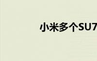 小米多个SU7商标通过初审