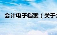 会计电子档案（关于会计电子档案的简介）