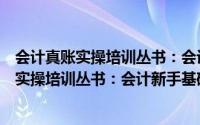 会计真账实操培训丛书：会计新手基础知识（关于会计真账实操培训丛书：会计新手基础知识的简介）