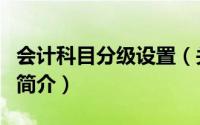 会计科目分级设置（关于会计科目分级设置的简介）