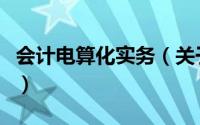 会计电算化实务（关于会计电算化实务的简介）