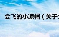 会飞的小凉帽（关于会飞的小凉帽的简介）