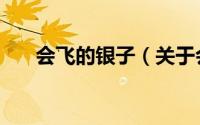 会飞的银子（关于会飞的银子的简介）