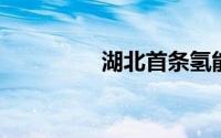 湖北首条氢能示范线启动