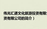 伟光汇通文化旅游投资有限公司（关于伟光汇通文化旅游投资有限公司的简介）