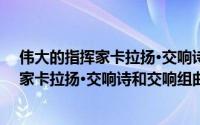 伟大的指挥家卡拉扬·交响诗和交响组曲（关于伟大的指挥家卡拉扬·交响诗和交响组曲的简介）