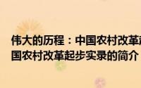 伟大的历程：中国农村改革起步实录（关于伟大的历程：中国农村改革起步实录的简介）