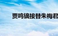 贾鸣镝接替朱梅君出任林肯中国总裁