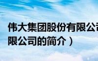 伟大集团股份有限公司（关于伟大集团股份有限公司的简介）