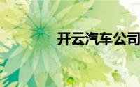 开云汽车公司更名开云能源