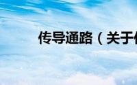 传导通路（关于传导通路的简介）