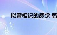 似曾相识的感觉 智己L6内饰正式曝光