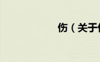 伤（关于伤的简介）