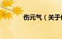 伤元气（关于伤元气的简介）