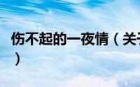 伤不起的一夜情（关于伤不起的一夜情的简介）