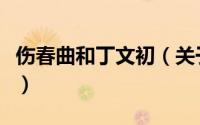伤春曲和丁文初（关于伤春曲和丁文初的简介）