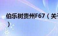 伯乐树贵州F67（关于伯乐树贵州F67的简介）