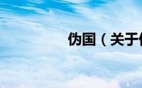 伪国（关于伪国的简介）