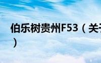伯乐树贵州F53（关于伯乐树贵州F53的简介）