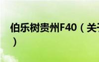 伯乐树贵州F40（关于伯乐树贵州F40的简介）