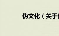 伪文化（关于伪文化的简介）