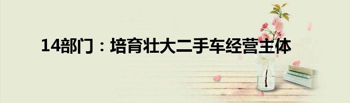 14部门：培育壮大二手车经营主体