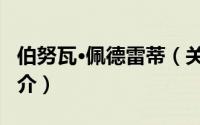 伯努瓦·佩德雷蒂（关于伯努瓦·佩德雷蒂的简介）