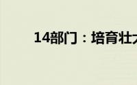 14部门：培育壮大二手车经营主体