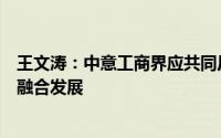 王文涛：中意工商界应共同反对保护主义实现中欧绿色产业融合发展
