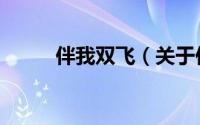 伴我双飞（关于伴我双飞的简介）