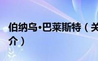 伯纳乌·巴莱斯特（关于伯纳乌·巴莱斯特的简介）