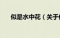 似是水中花（关于似是水中花的简介）