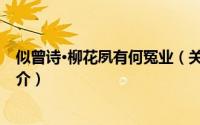 似曾诗·柳花夙有何冤业（关于似曾诗·柳花夙有何冤业的简介）