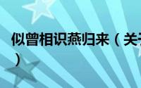 似曾相识燕归来（关于似曾相识燕归来的简介）