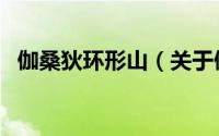 伽桑狄环形山（关于伽桑狄环形山的简介）