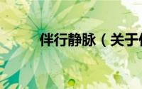 伴行静脉（关于伴行静脉的简介）