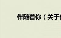 伴随着你（关于伴随着你的简介）