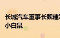 长城汽车董事长魏建军：长城智驾不让用户当小白鼠