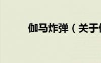 伽马炸弹（关于伽马炸弹的简介）