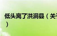低头离了洪洞县（关于低头离了洪洞县的简介）